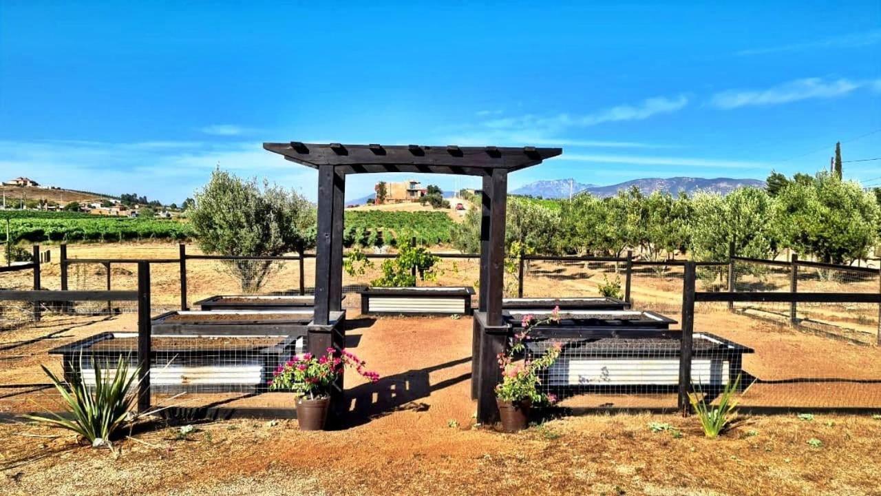 Finca Vidandrei Casa Eucalipto Valle de Guadalupe Buitenkant foto