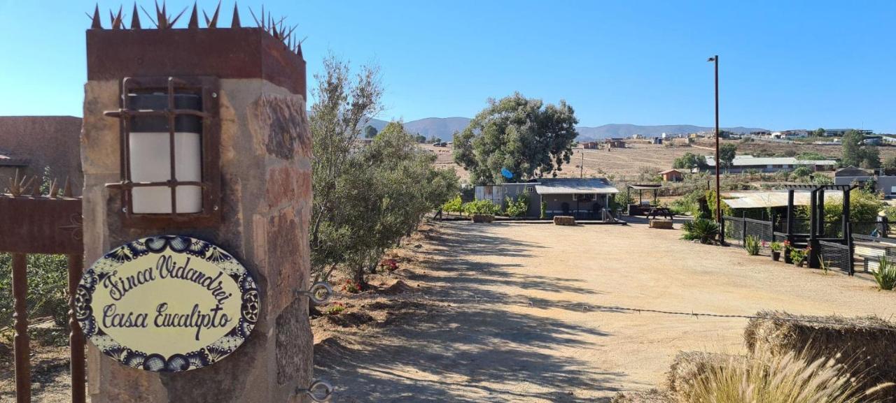 Finca Vidandrei Casa Eucalipto Valle de Guadalupe Buitenkant foto