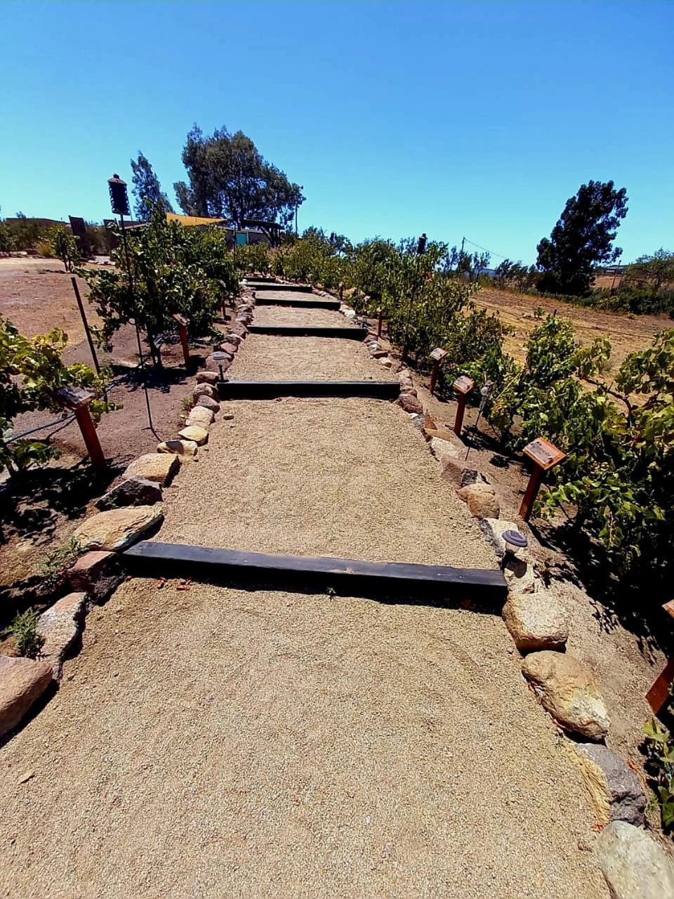 Finca Vidandrei Casa Eucalipto Valle de Guadalupe Buitenkant foto