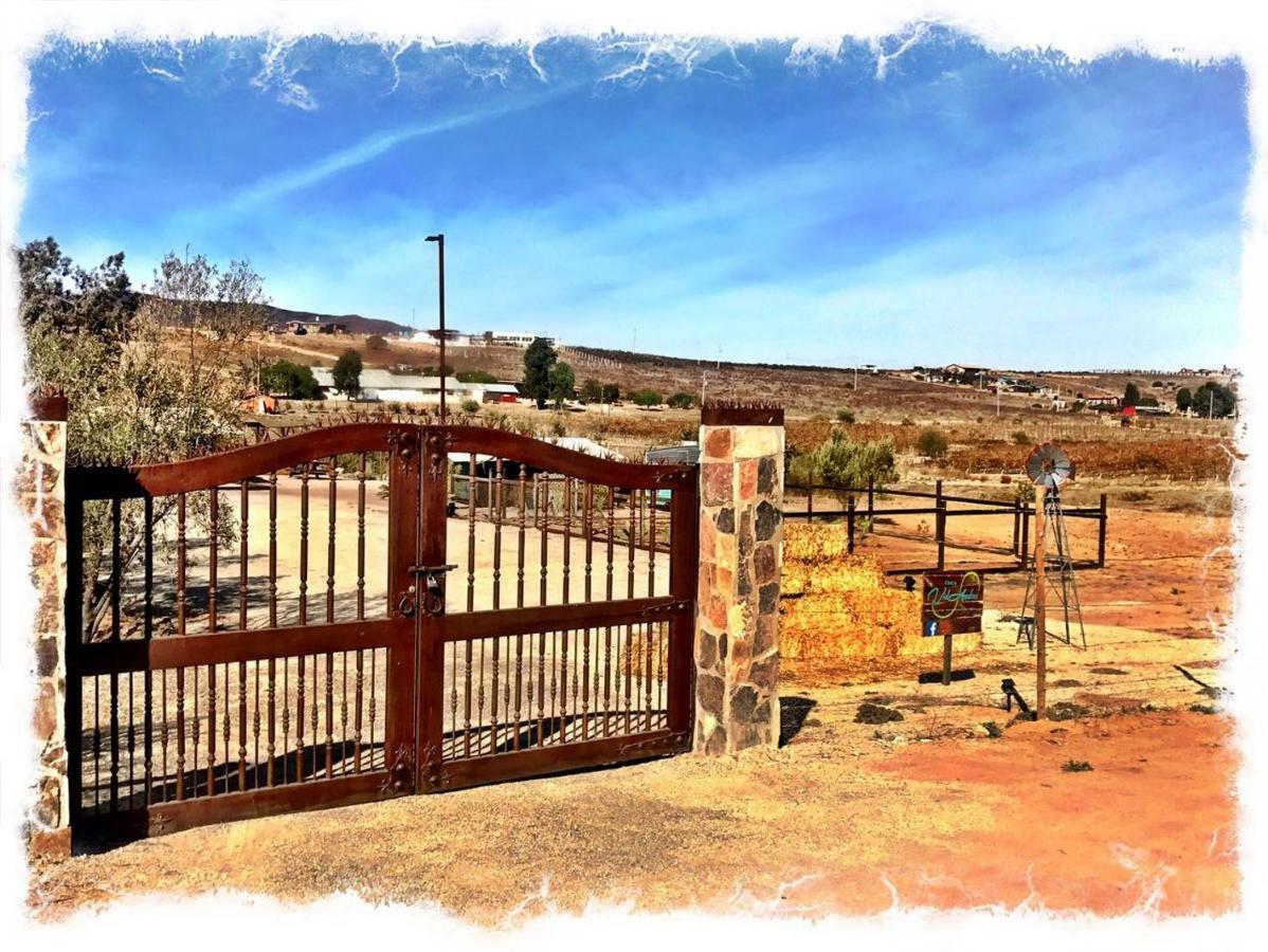 Finca Vidandrei Casa Eucalipto Valle de Guadalupe Buitenkant foto