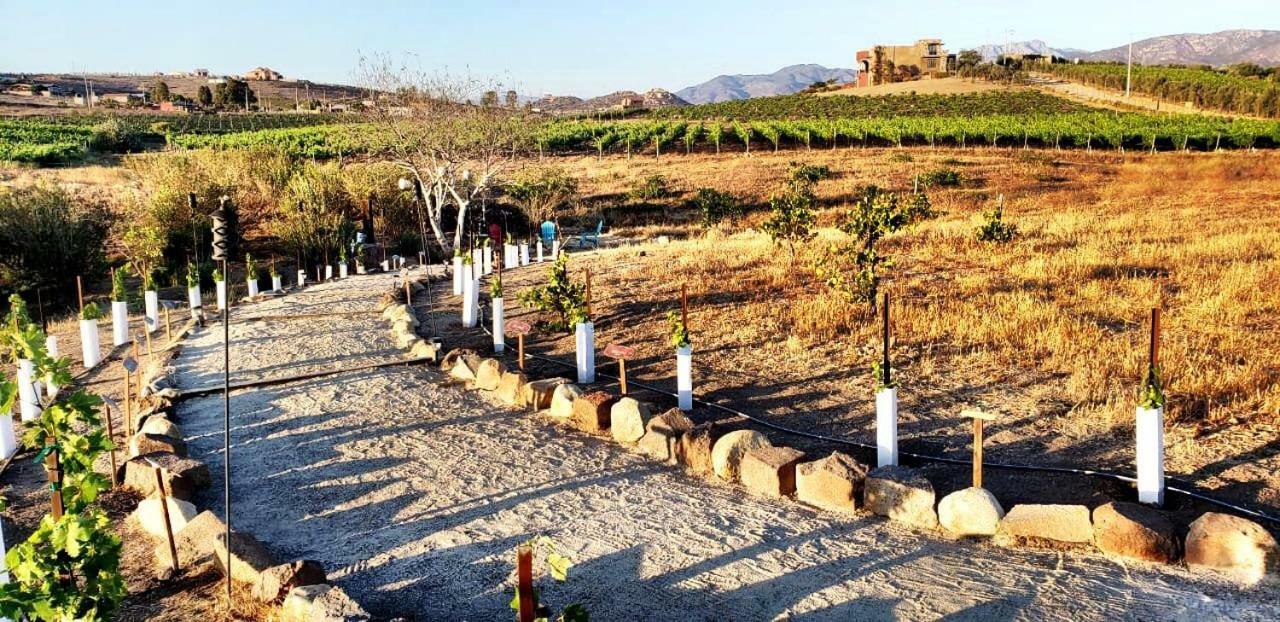 Finca Vidandrei Casa Eucalipto Valle de Guadalupe Buitenkant foto